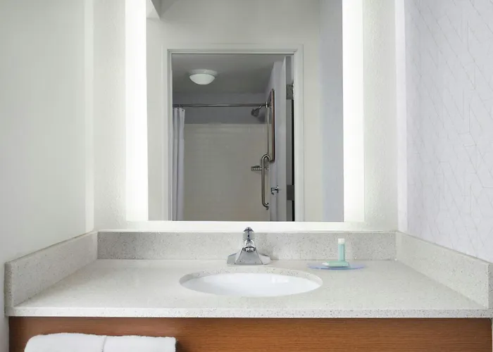 Springhill Downtown/river North 3*