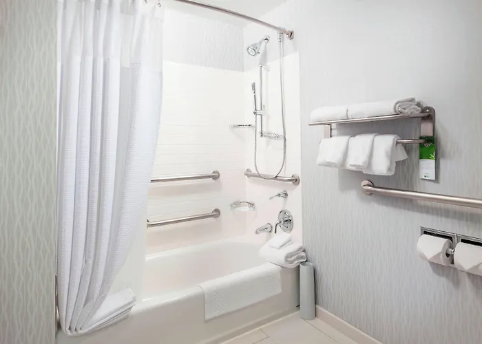 Springhill Downtown/river North 3* Chicago
